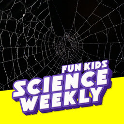 The Amazing Science Behind Spiders Webs!