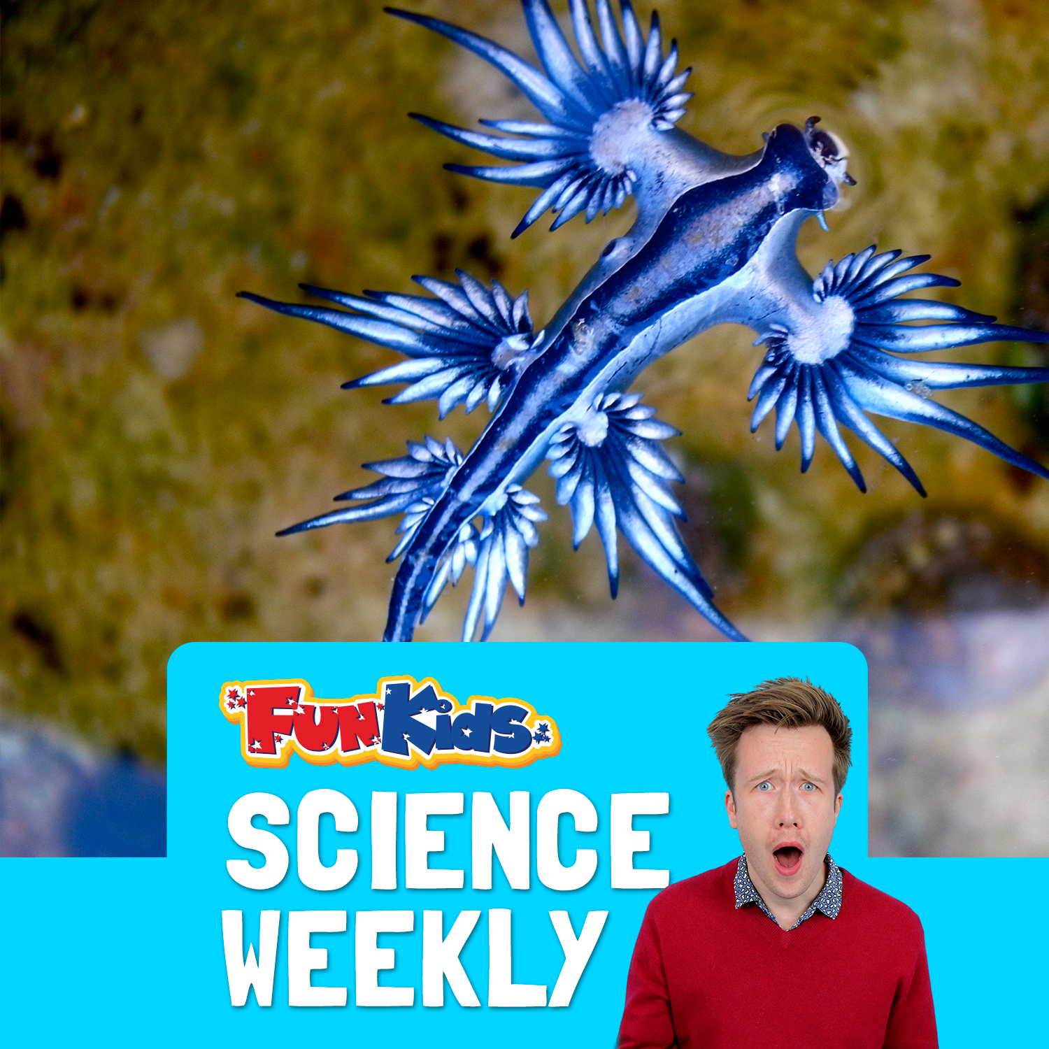 Fun Kids Science Quest