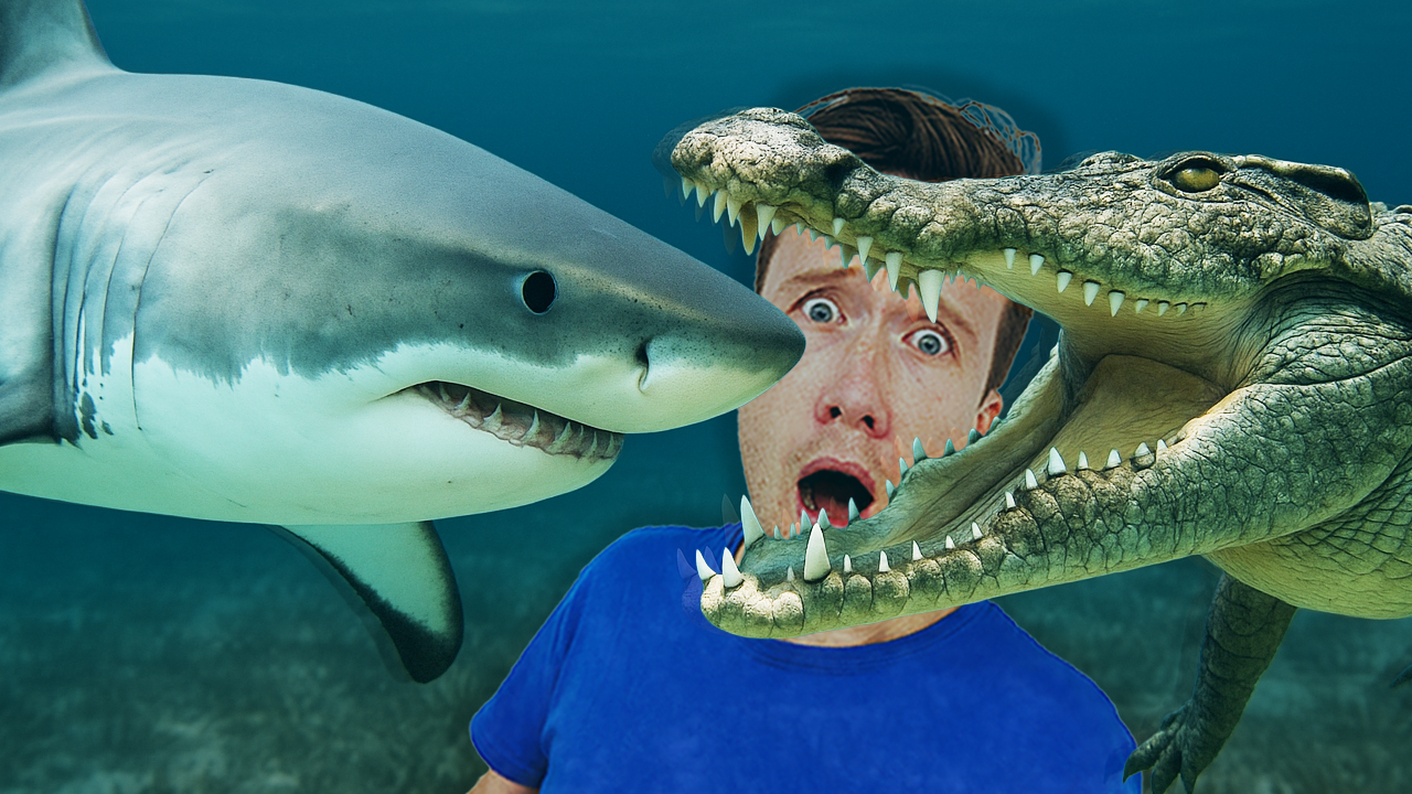 MIDWEEKLY: Who Bites Harder... Crocodiles or Sharks?🦈🐊
