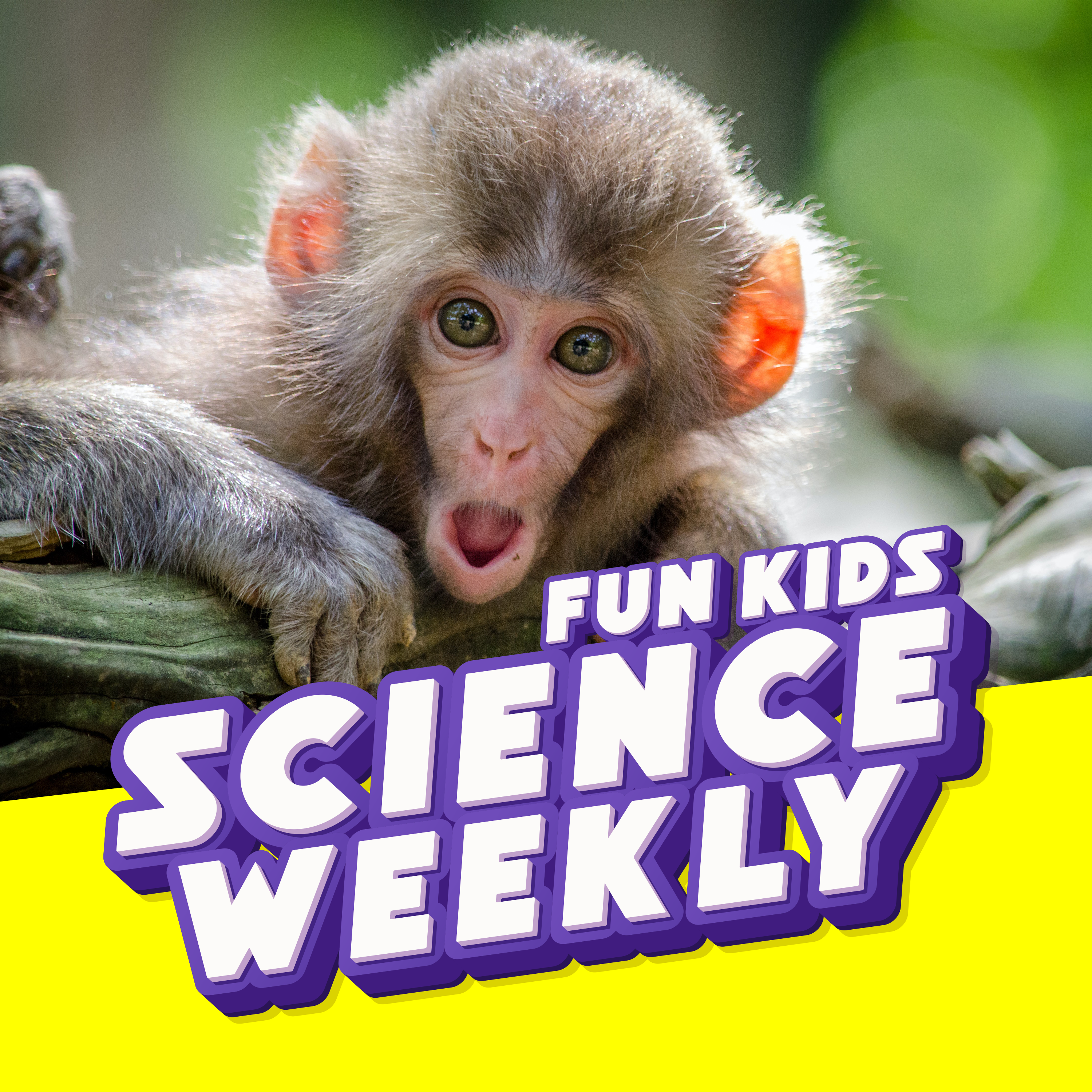 False Monkey Facts and 'Cats React to Science Facts' Author, Izzi Howell!
