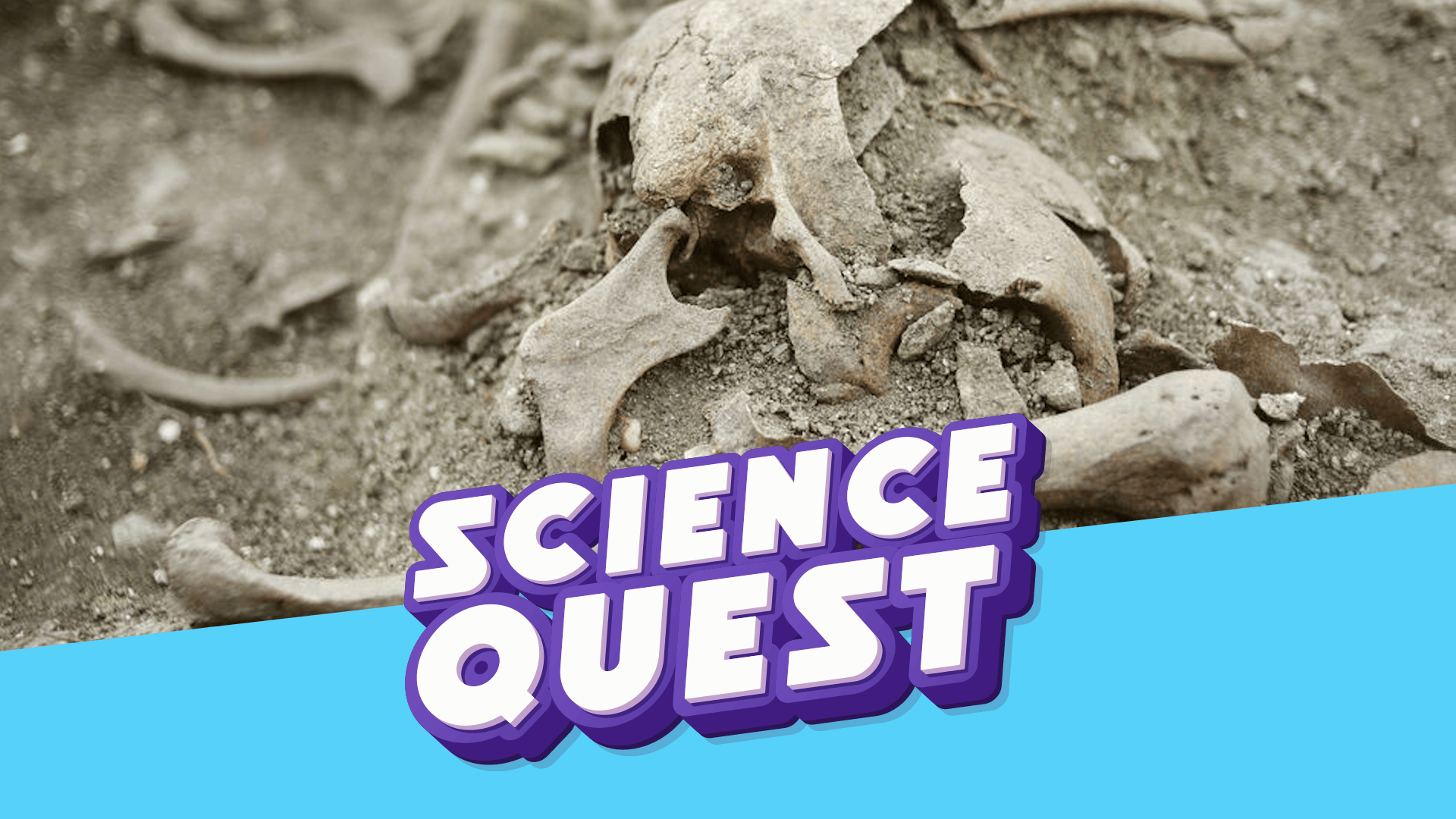 VAMPIRE MYSTERY: Archaeologists Examine a Strange Burial🧛‍♂️🦴