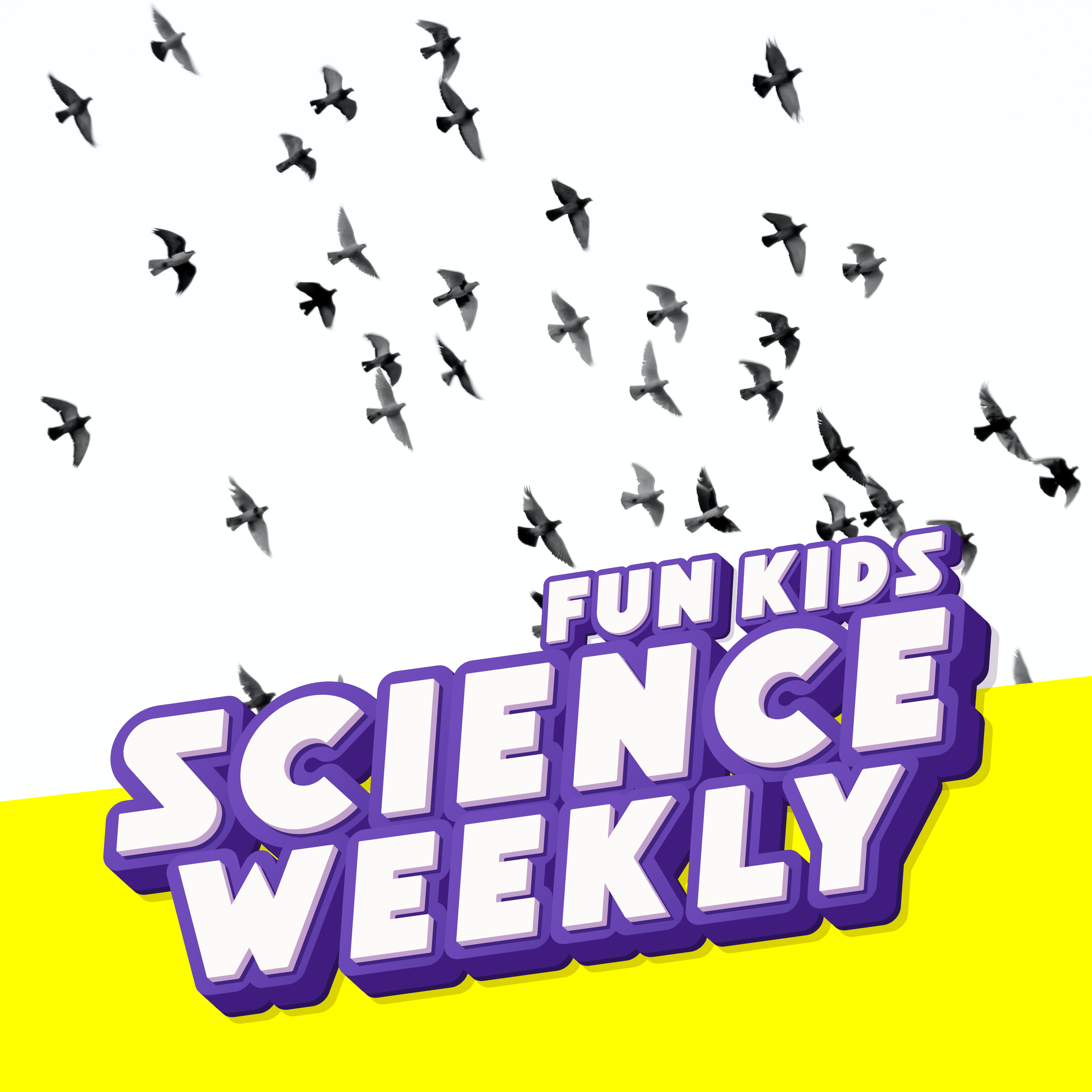 Fun Kids Science Quest