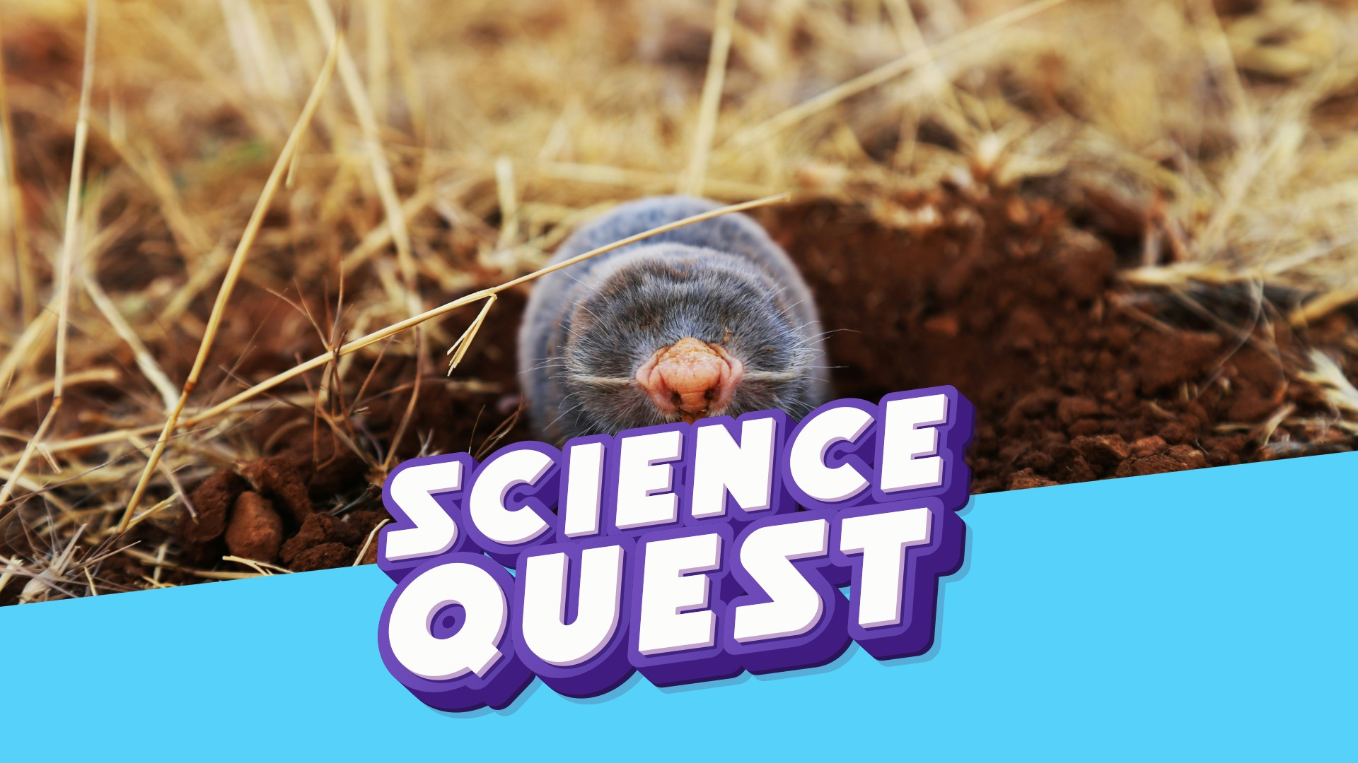 Fun Kids Science Quest