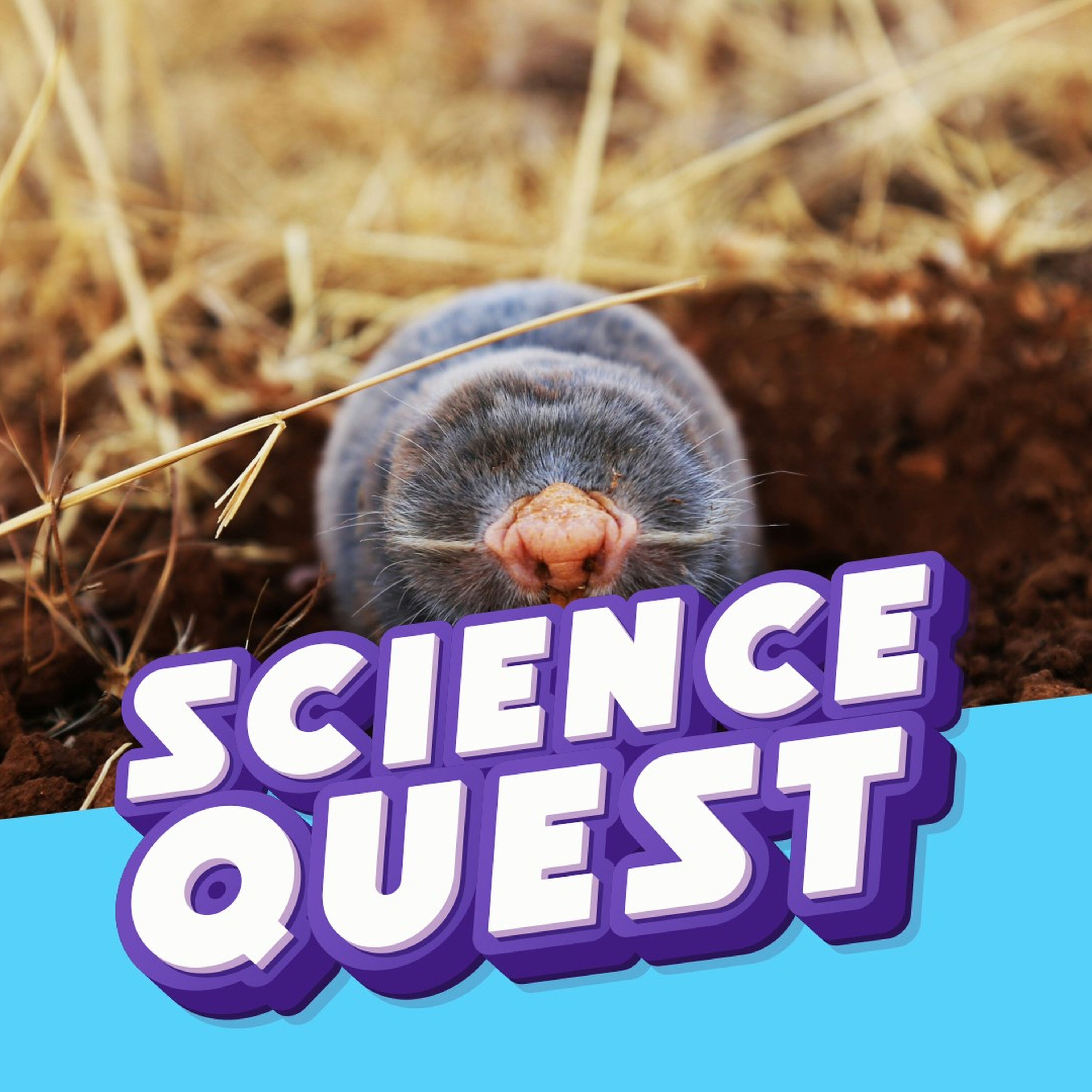Fun Kids Science Quest