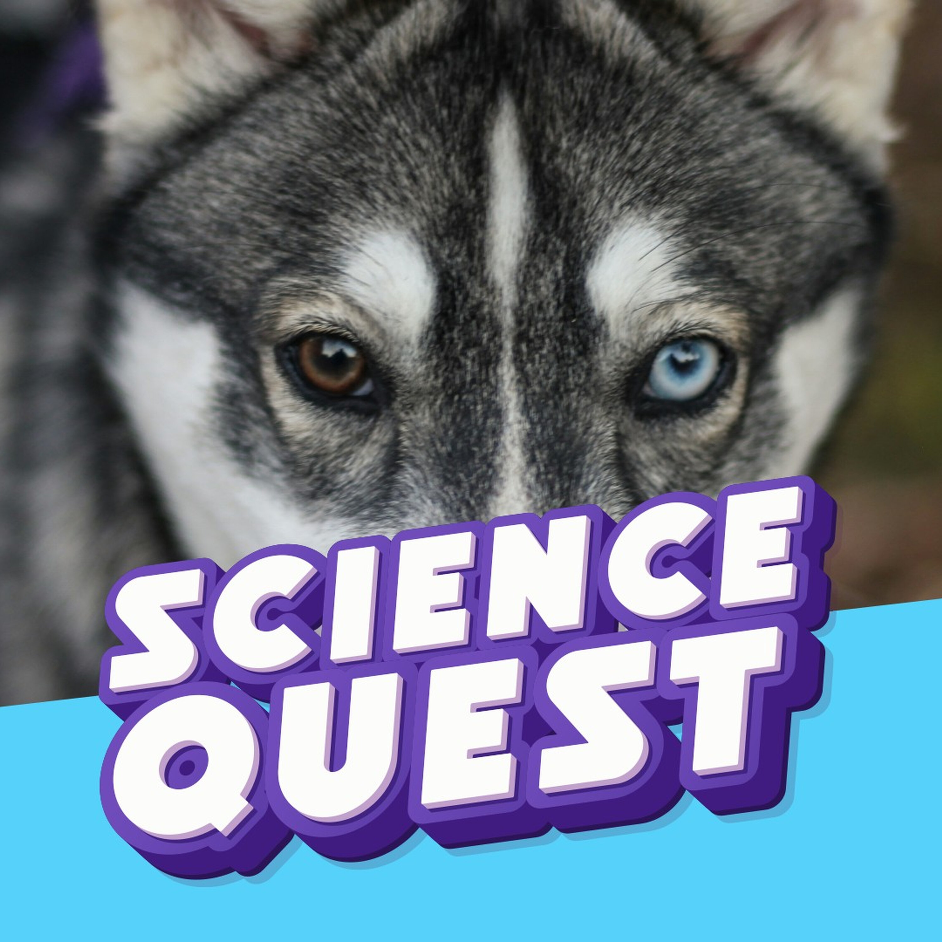 Fun Kids Science Quest