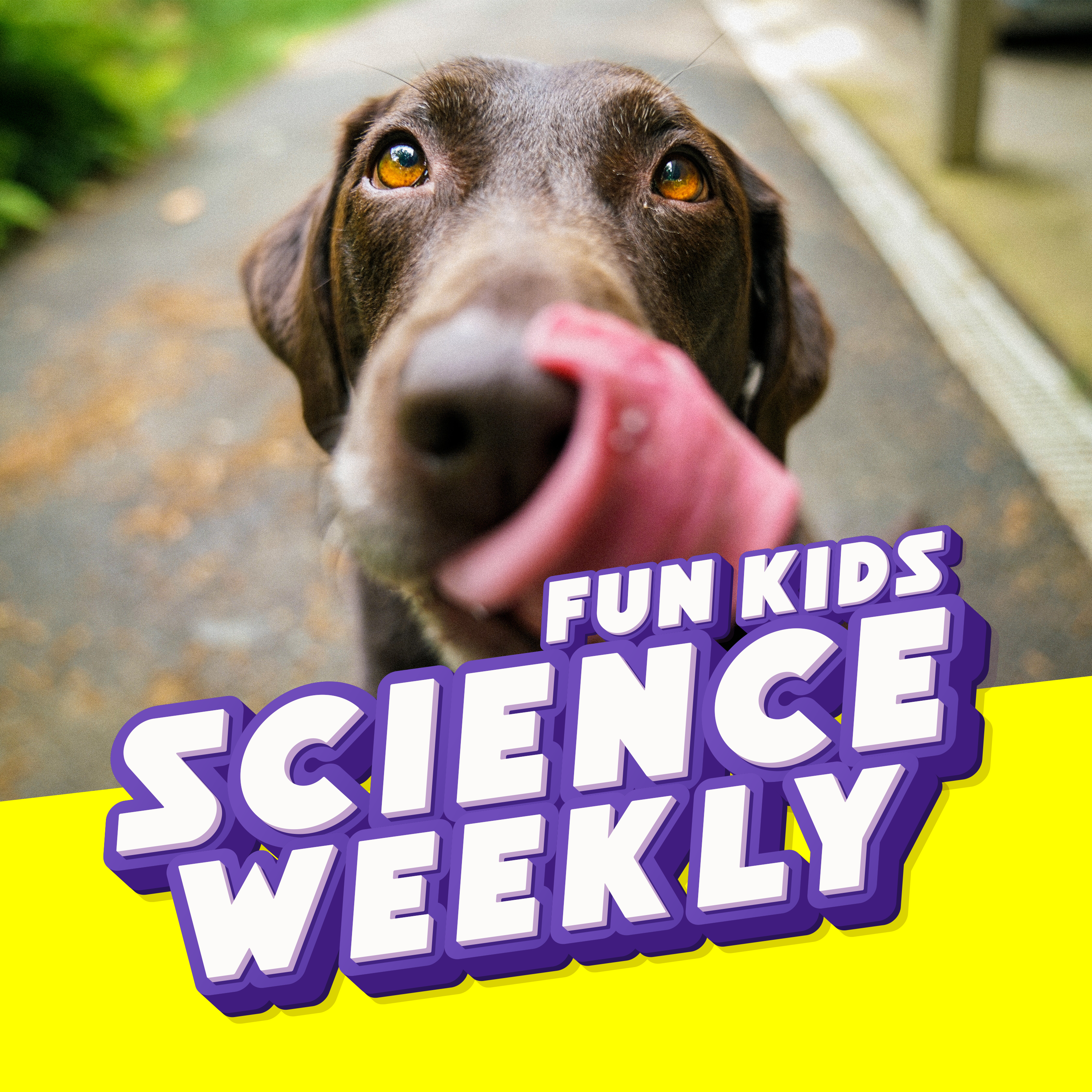 Fun Kids Science Quest