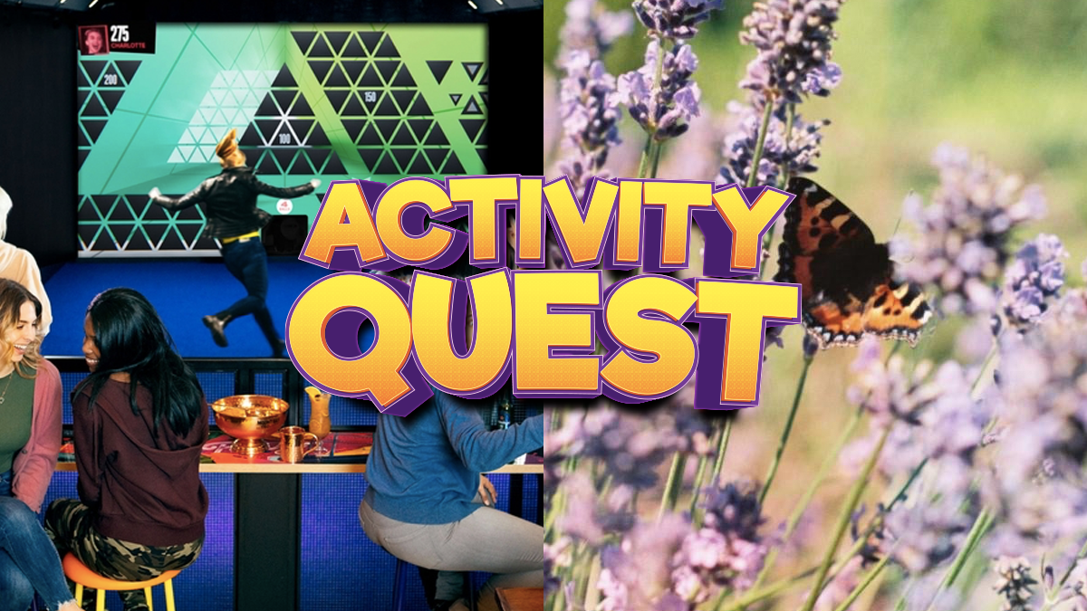 TOCA Social, Big Butterfly Count, Sophie Anderson