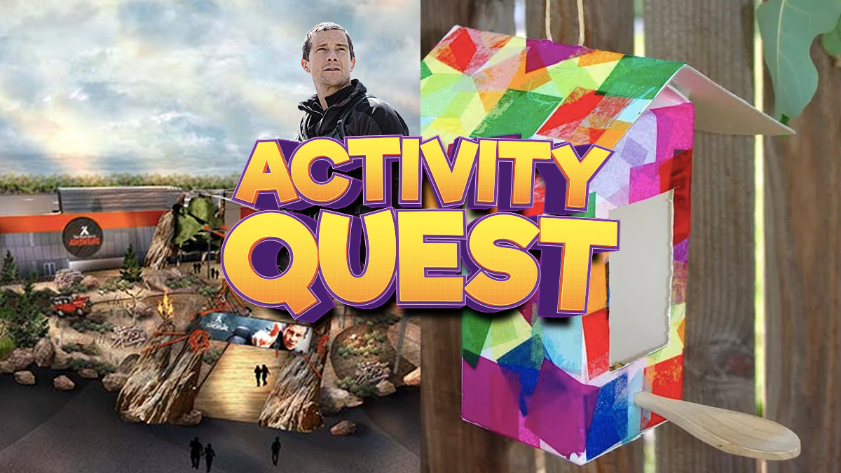 Assault courses and juice carton birdhouses