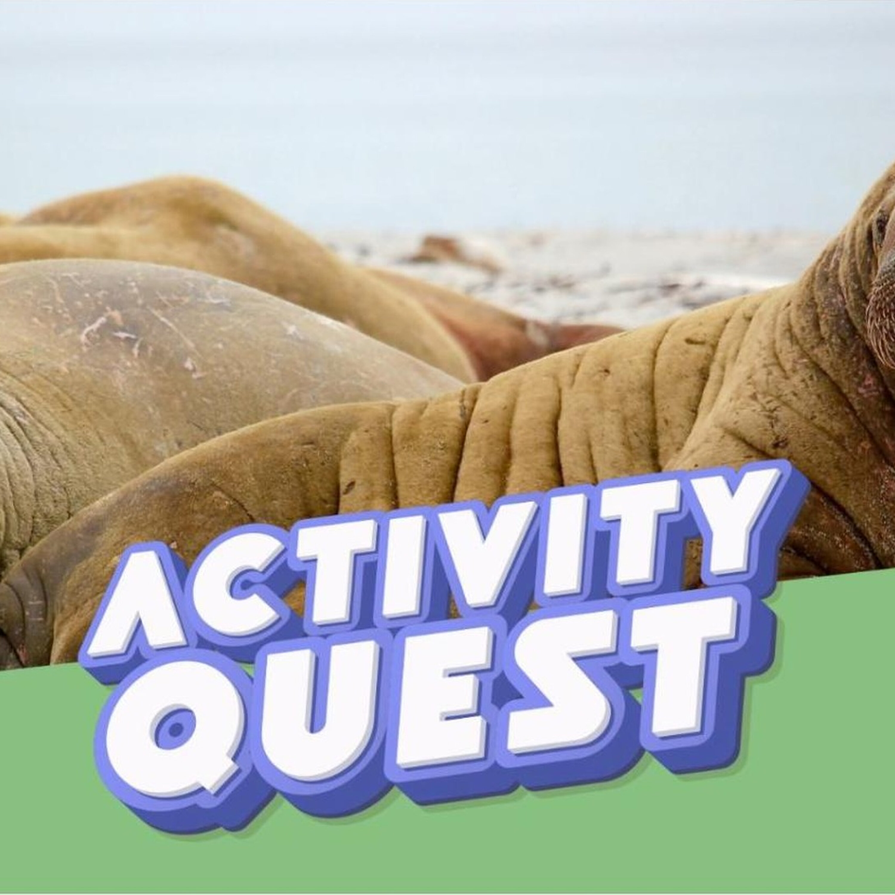 The Curious Tale of the Horniman's Walrus