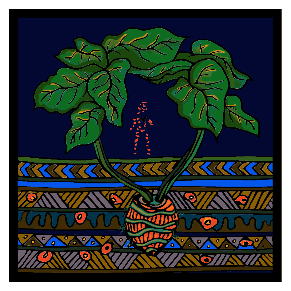 Hainuwele the Coconut Girl