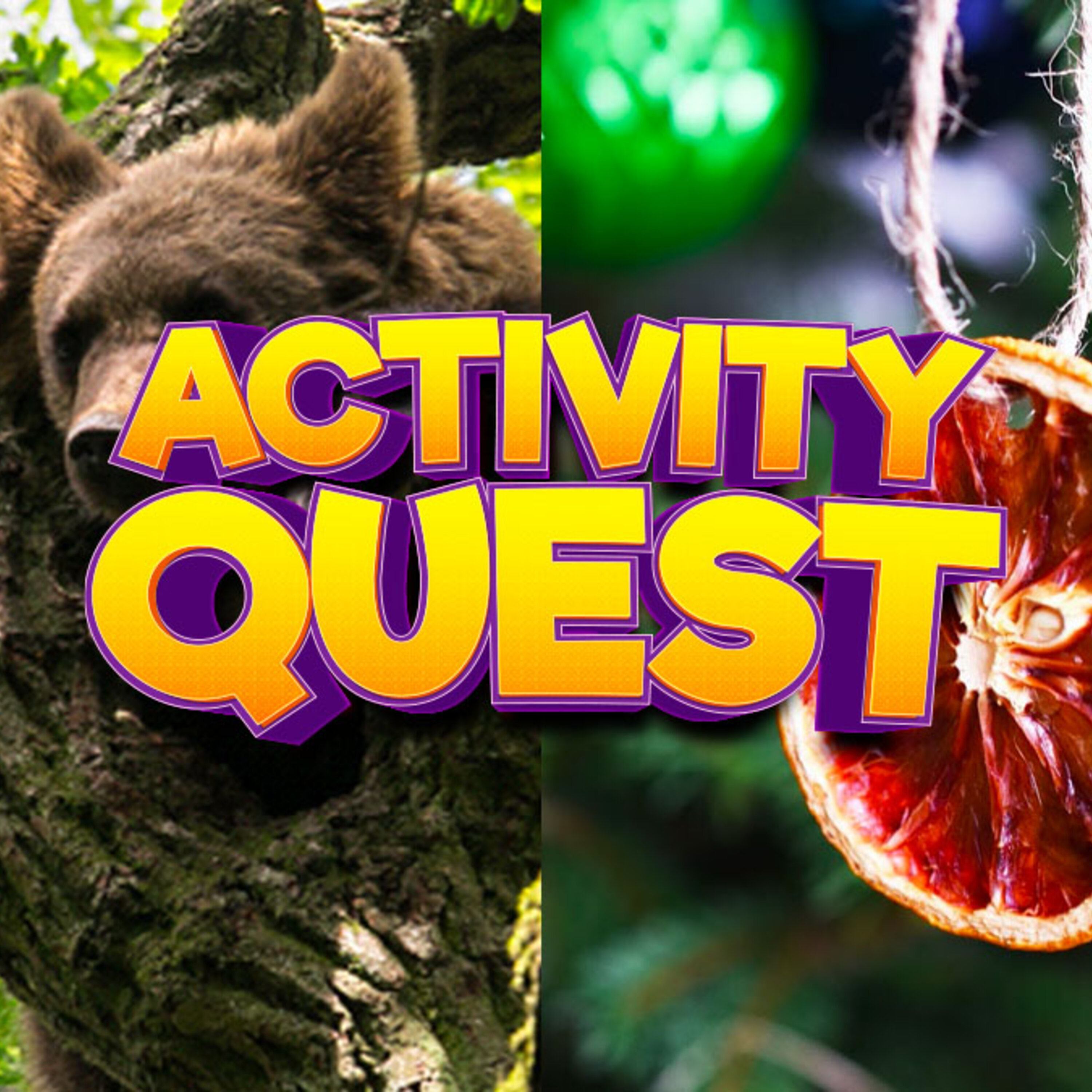 Wild Place Project, Christmas crafts, and Josh joins Girl Guides