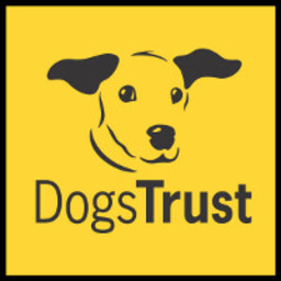 Kelly from Dog's Trust
