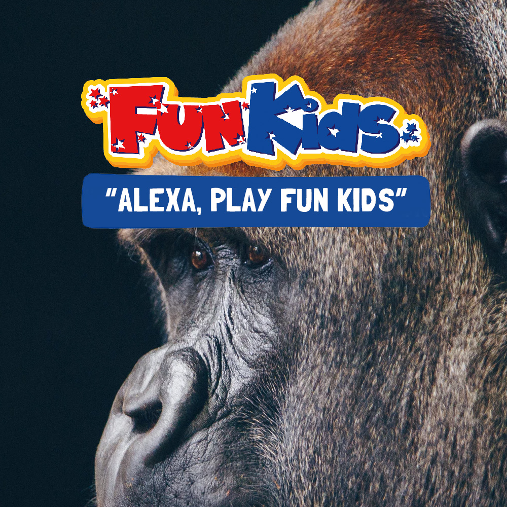 You Won't Believe The Real Name Of This Gorilla ...