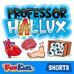 What's earwax? (Hallux's Hearing Helpdesk)