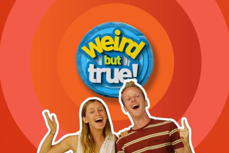 'Weird But True' Stars Charlie & Carly Chat To Dan!