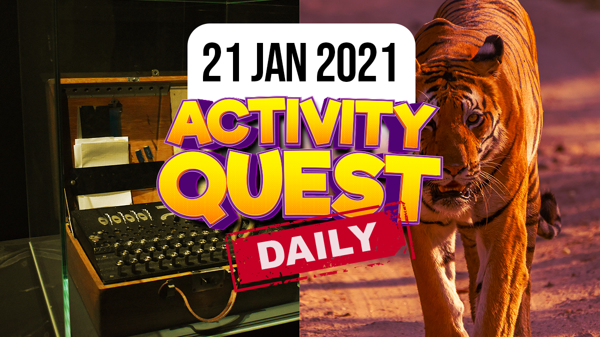 Fun Kids Animals and writing in code