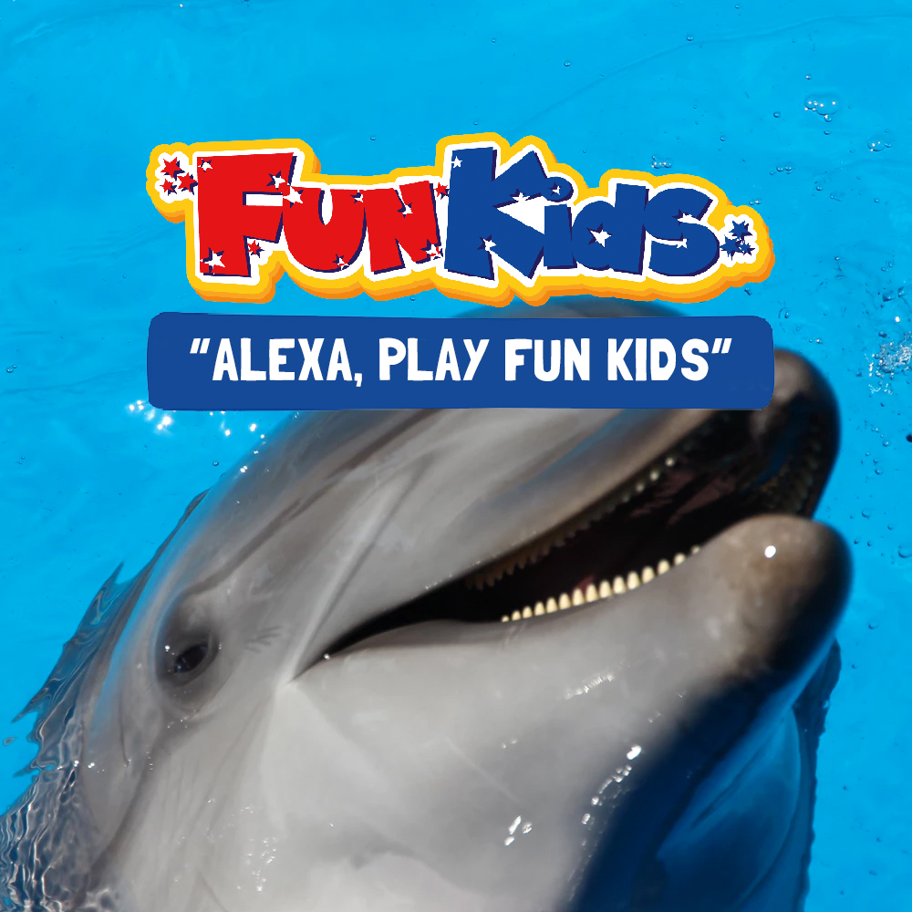 Dolphins Shut Down Half Their Brain When Asleep