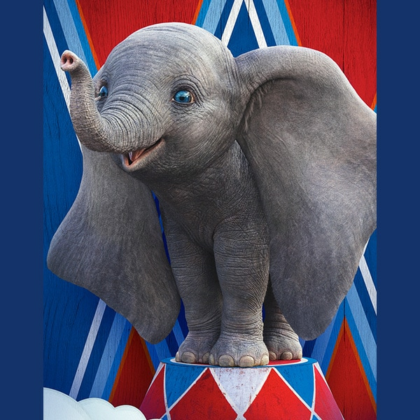 'Dumbo' Stars, Nico and Finley!