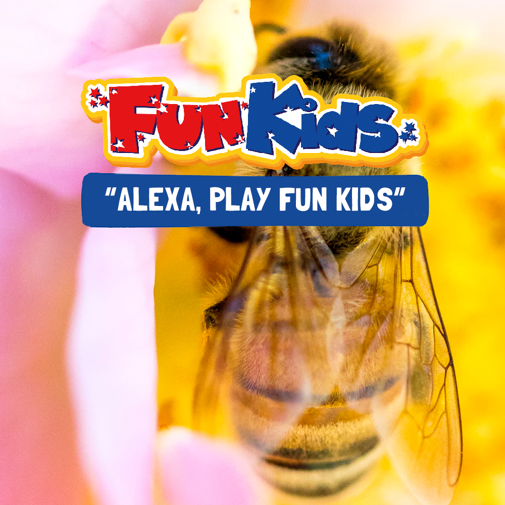 Could A Honey Bee Recognise You?