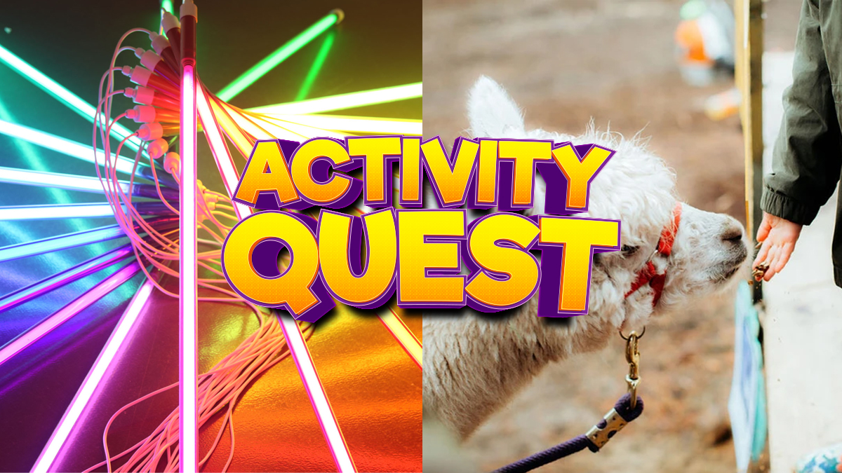 Alpaca walking, Liz West's Colour-Ways, and foraging for food