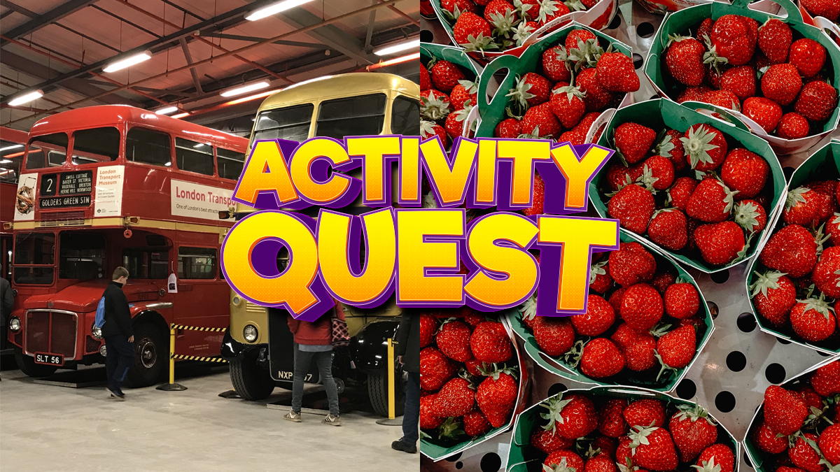 London Transport Museum, Pick Your Own and chilling on the farm