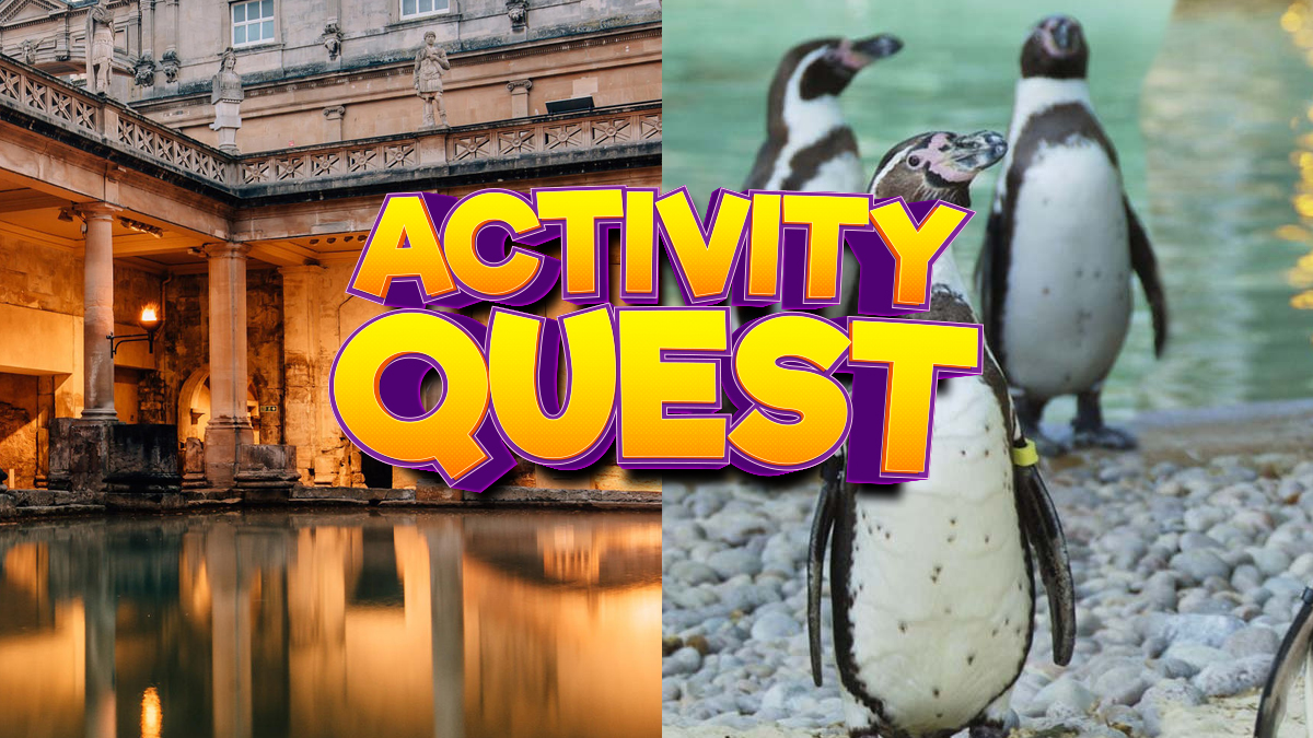 ZSL London Zoo, name a chick, and Notting Hill Carnival goes online