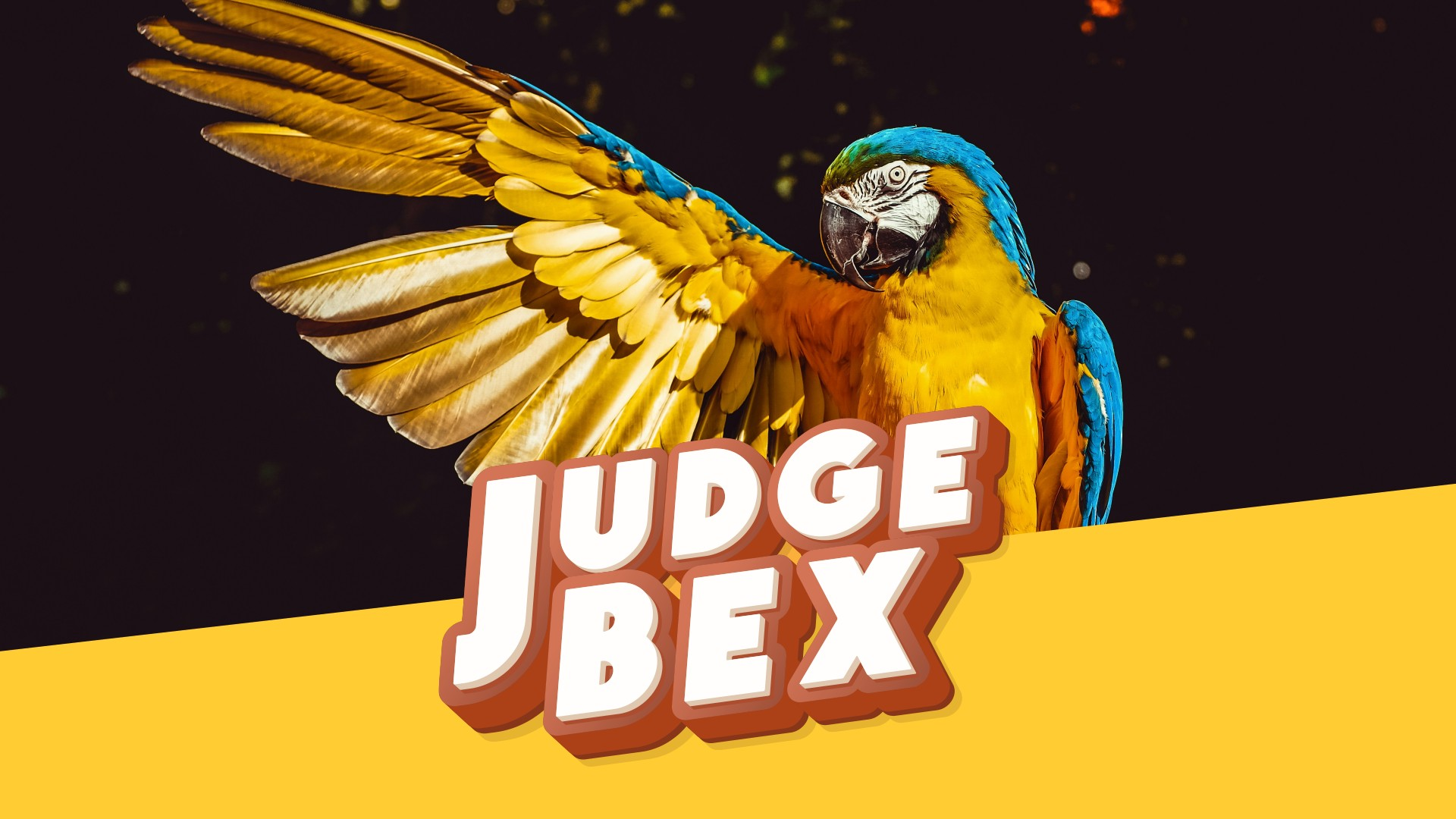 Parrot dancer and the LEGO thief