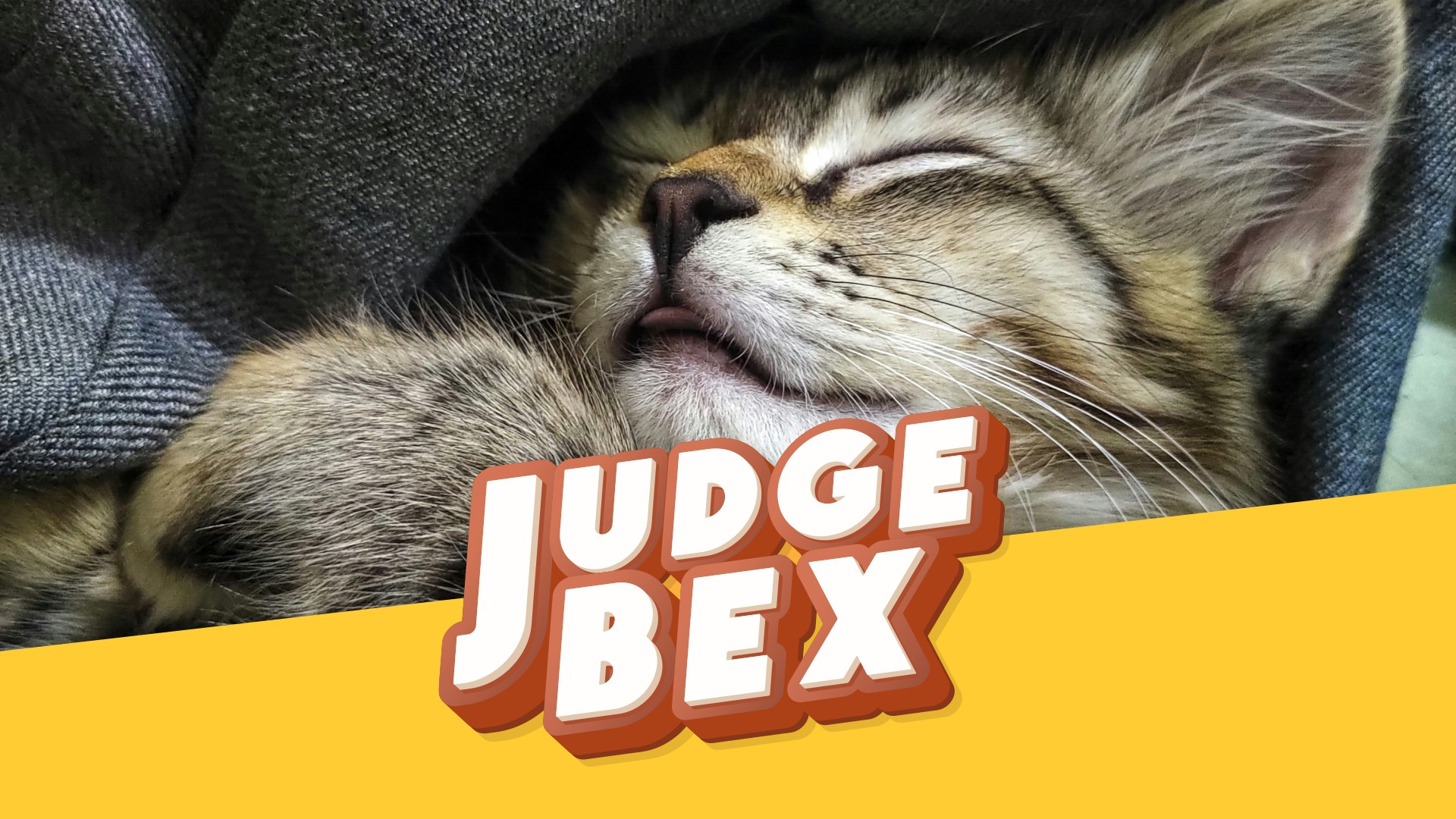 Chores, Cats, and Snoring Mums