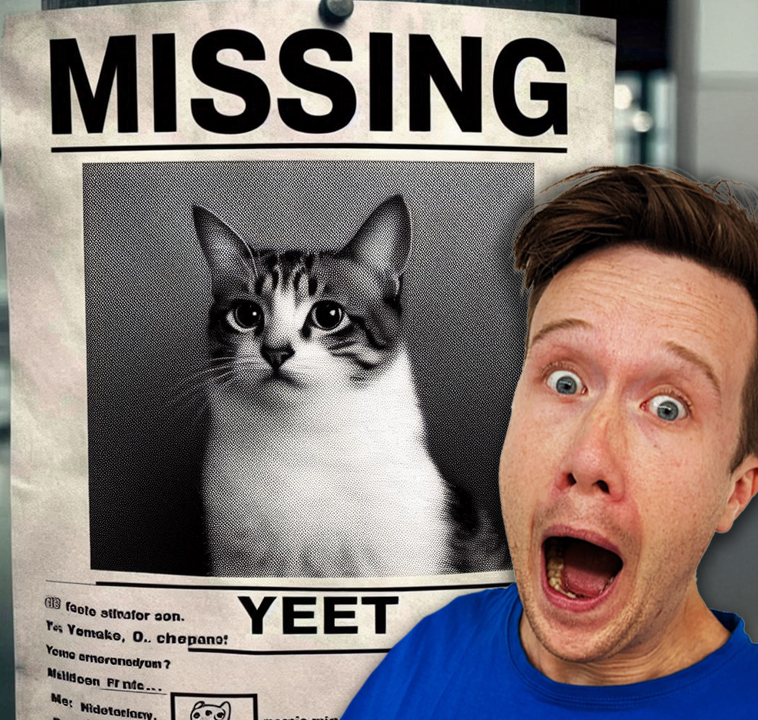 The Yeets and the Mystery of the Missing Cats!