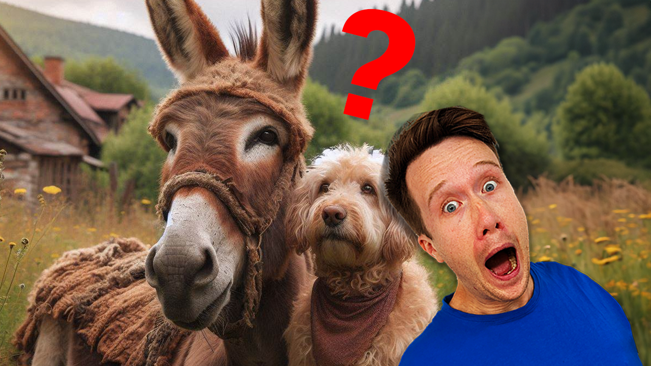 Grampa Donkey Loses its Name