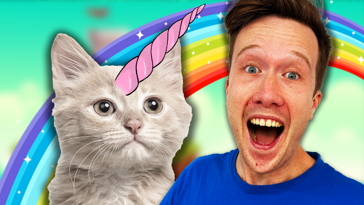 The Unicorn Cat