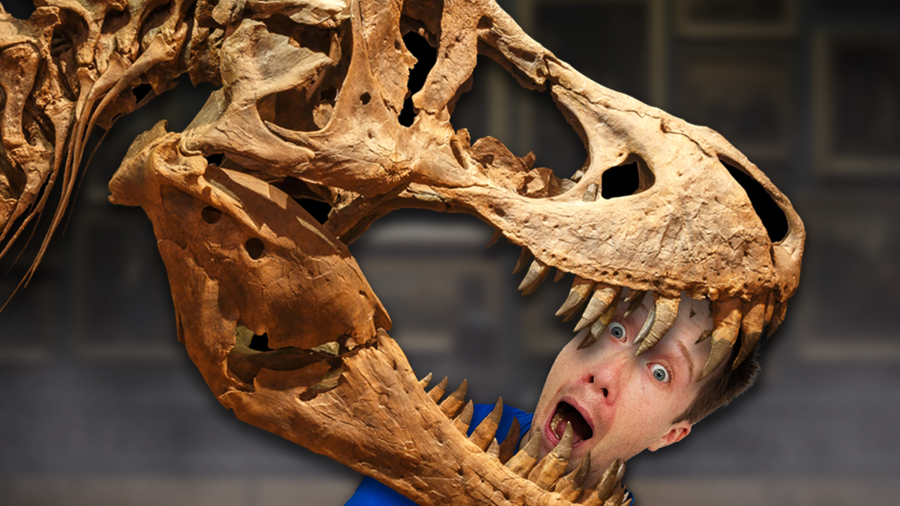 The Mystery of the T-Rex fossil