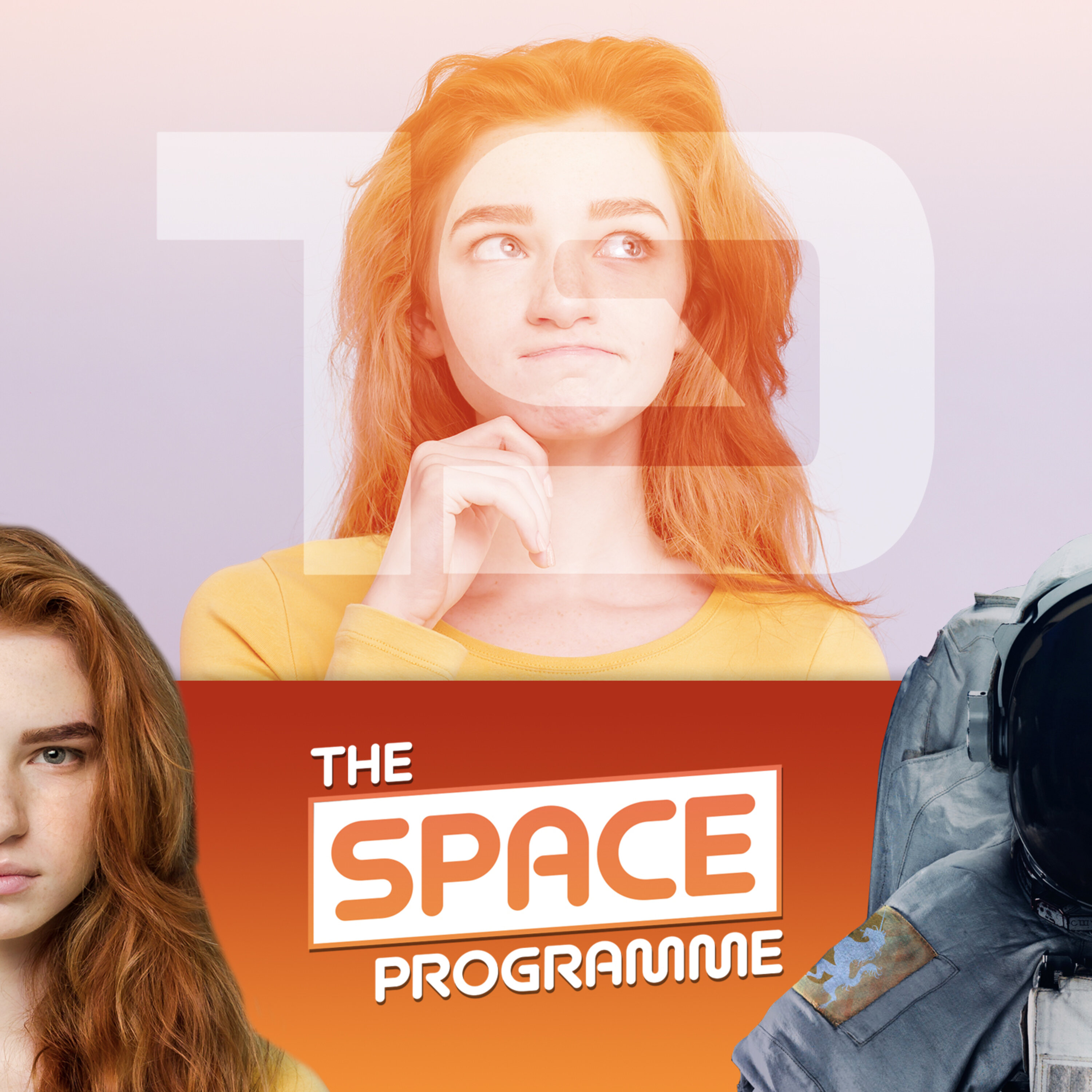 The Space Programme