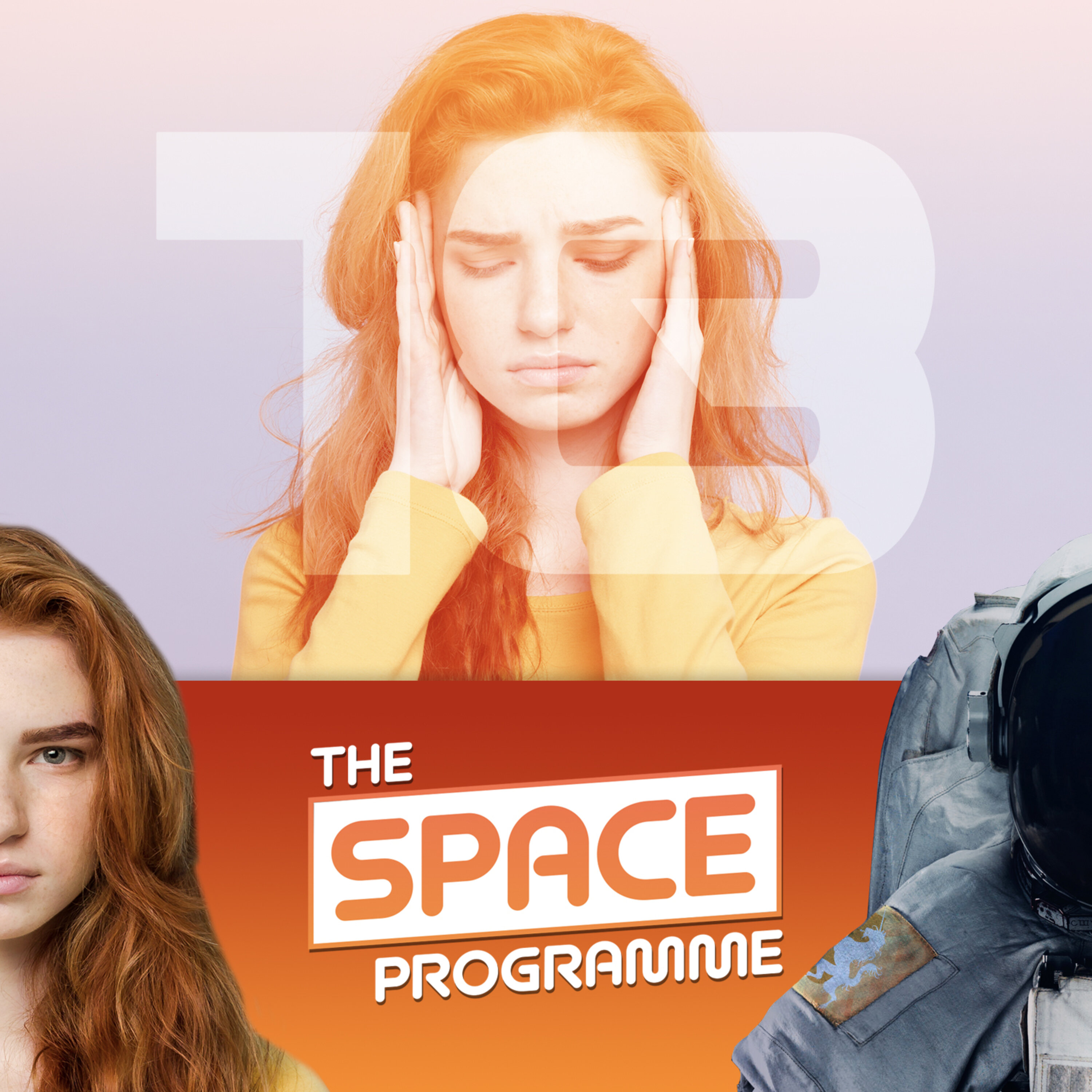 The Space Programme