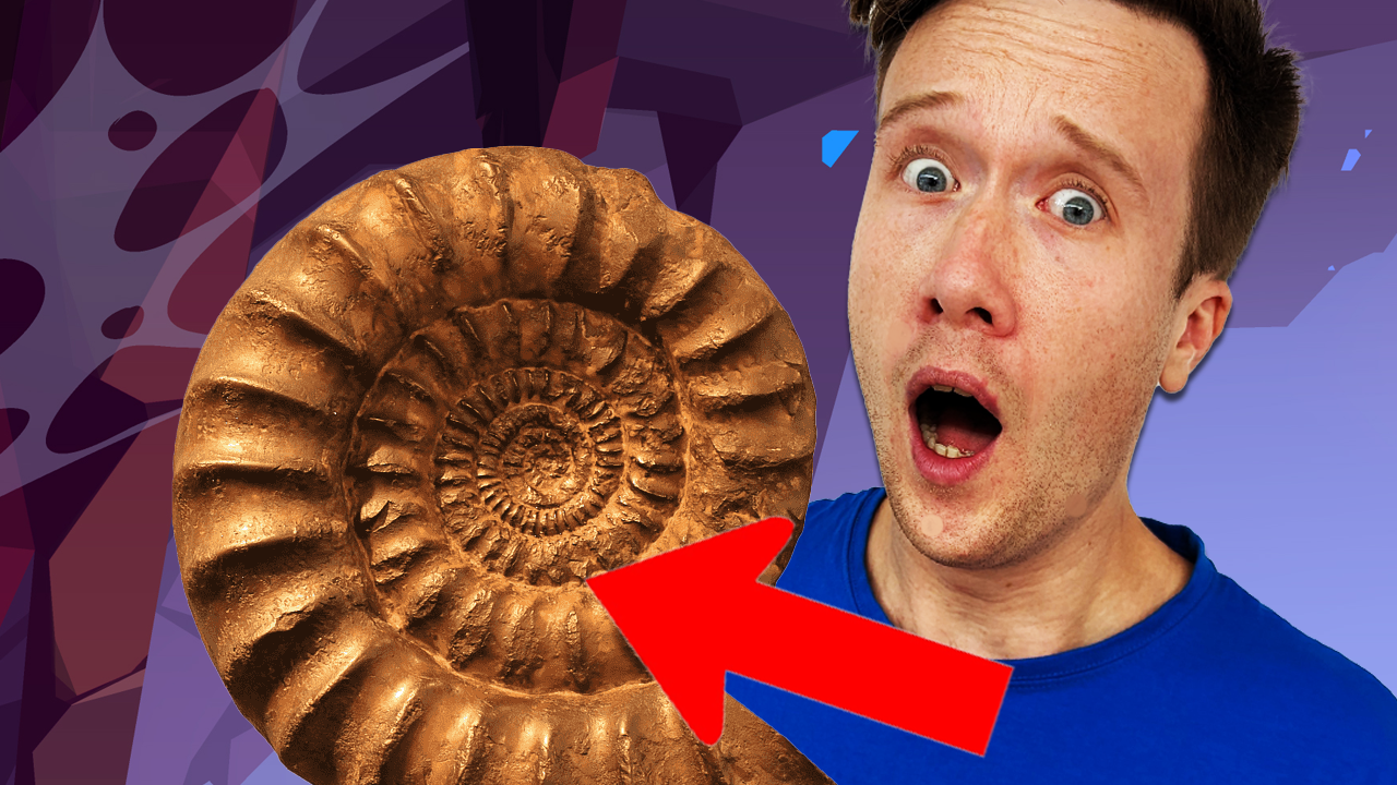 David and the Ammonite