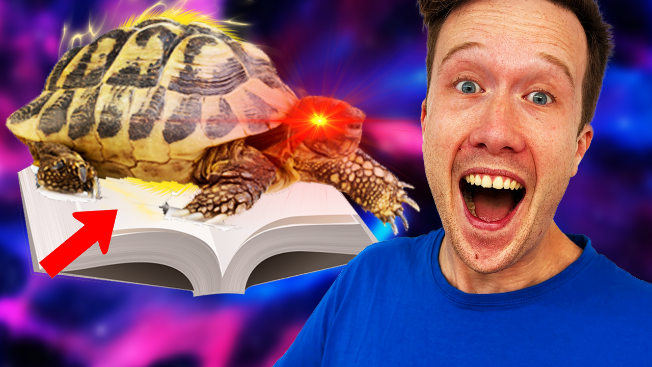 Tortoises Save The World