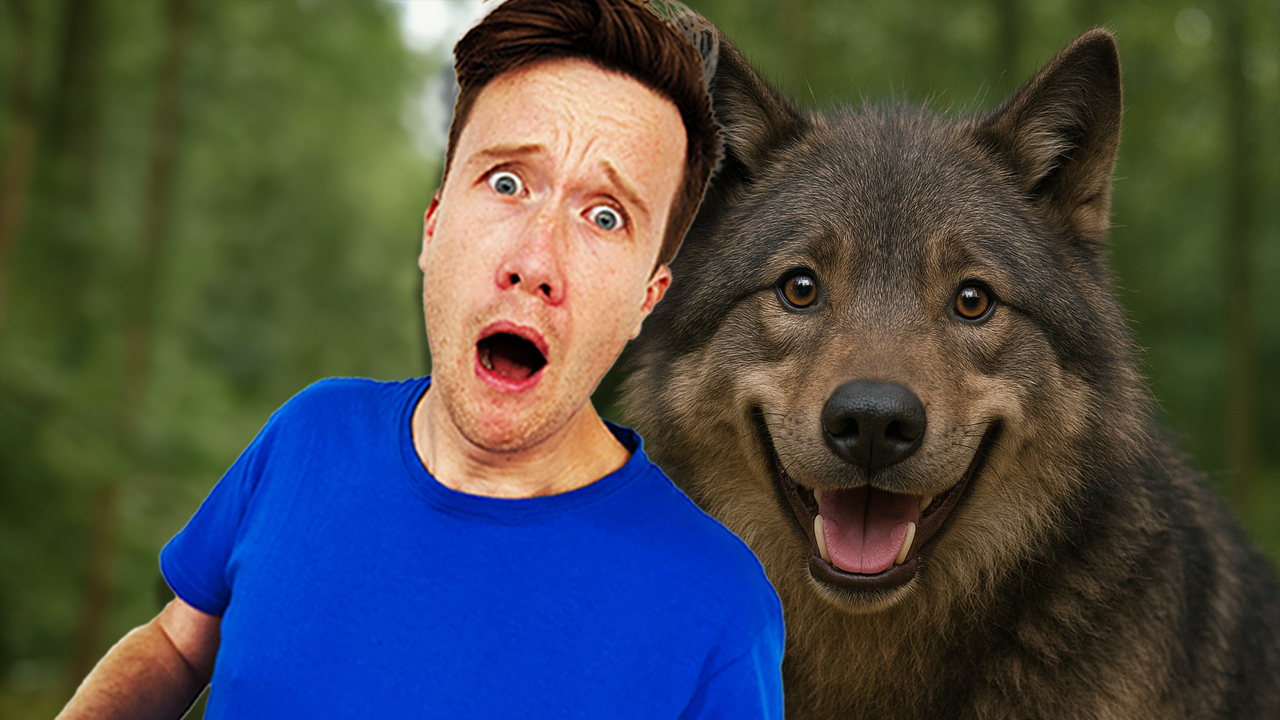 The Not So Scary Werewolf