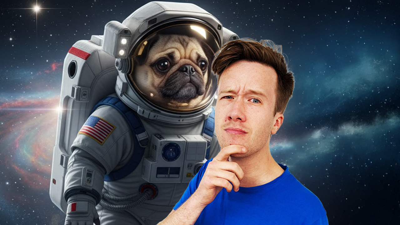 Space Pug and The Unicorns