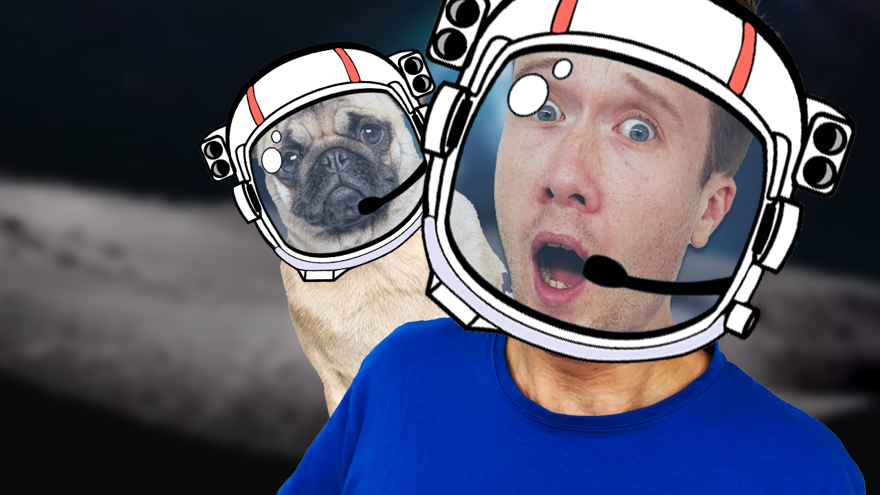 Space Pug and The Unicorns