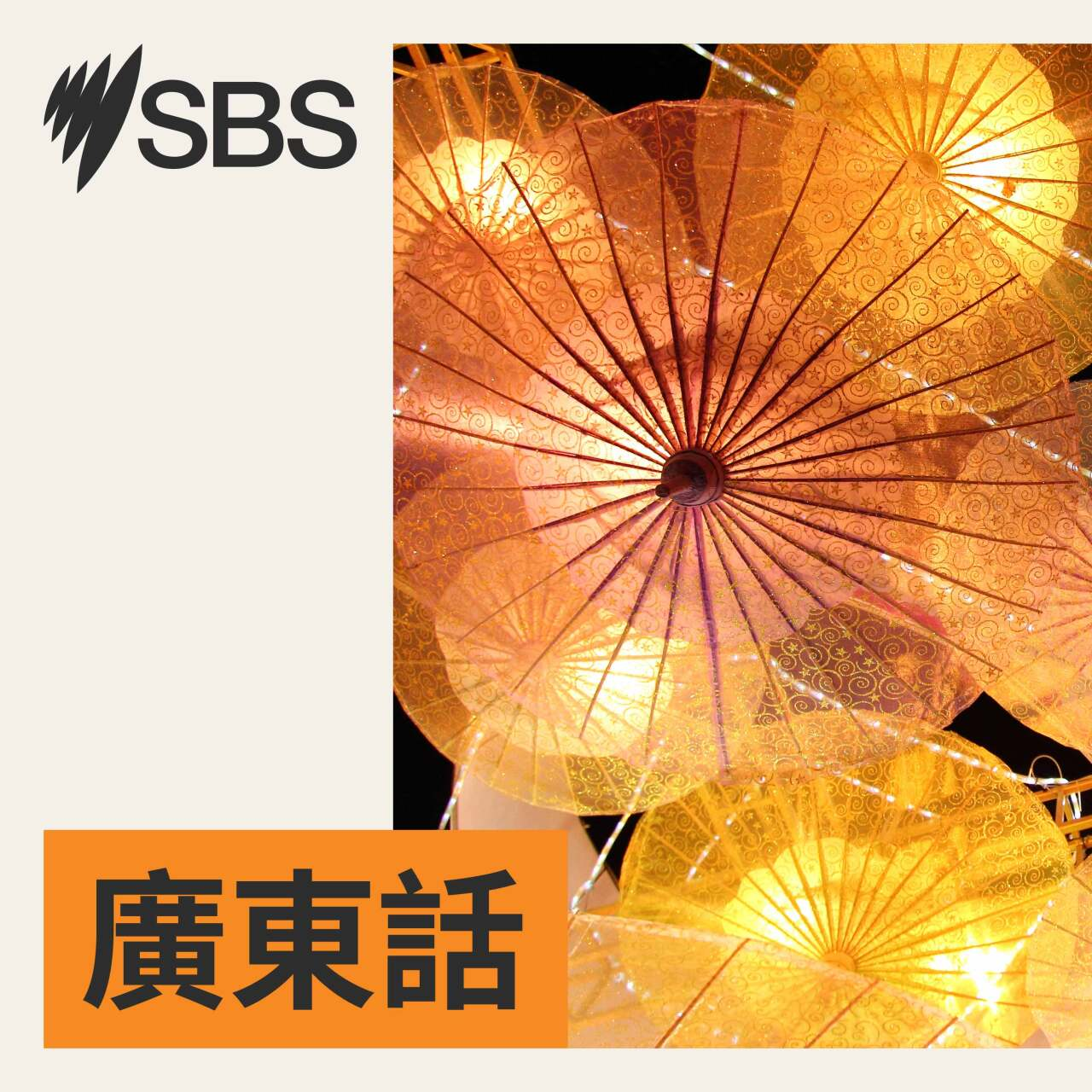 SBS 晚間新聞 (2026 年 8 月 5 日)