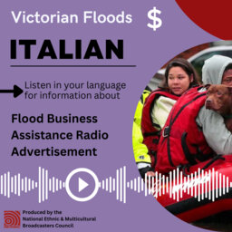 Italian Flood Business Assistance Radio Ad