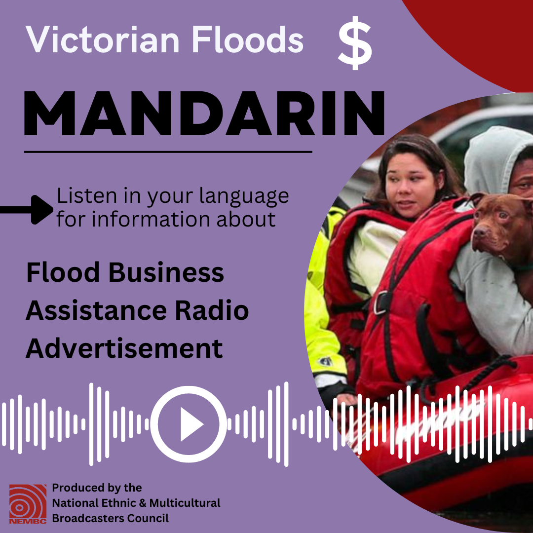Mandarin Flood Business Assistance Radio Ad