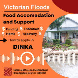 Dinka Food accommodation and Support Explainer