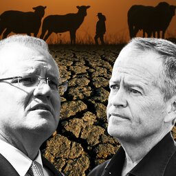 Morrison's campaign heats up, as drought hurts the Murray-Darling