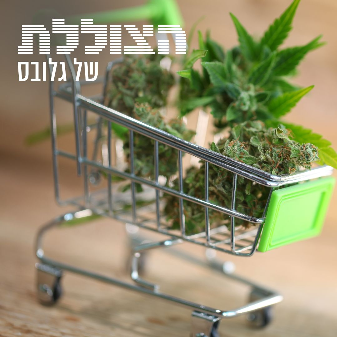 ההבטחות התאדו: מה קרה לתעשיית הקנאביס הישראלית? | פרק 232