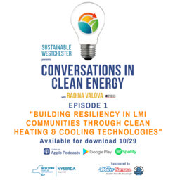 Building Resiliency in LMI Communities Through Clean Heating & Cooling Technologies