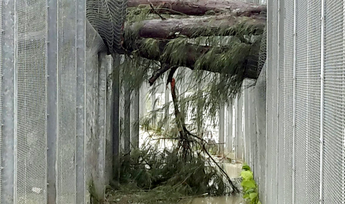 We Never Had Any Storm Like This