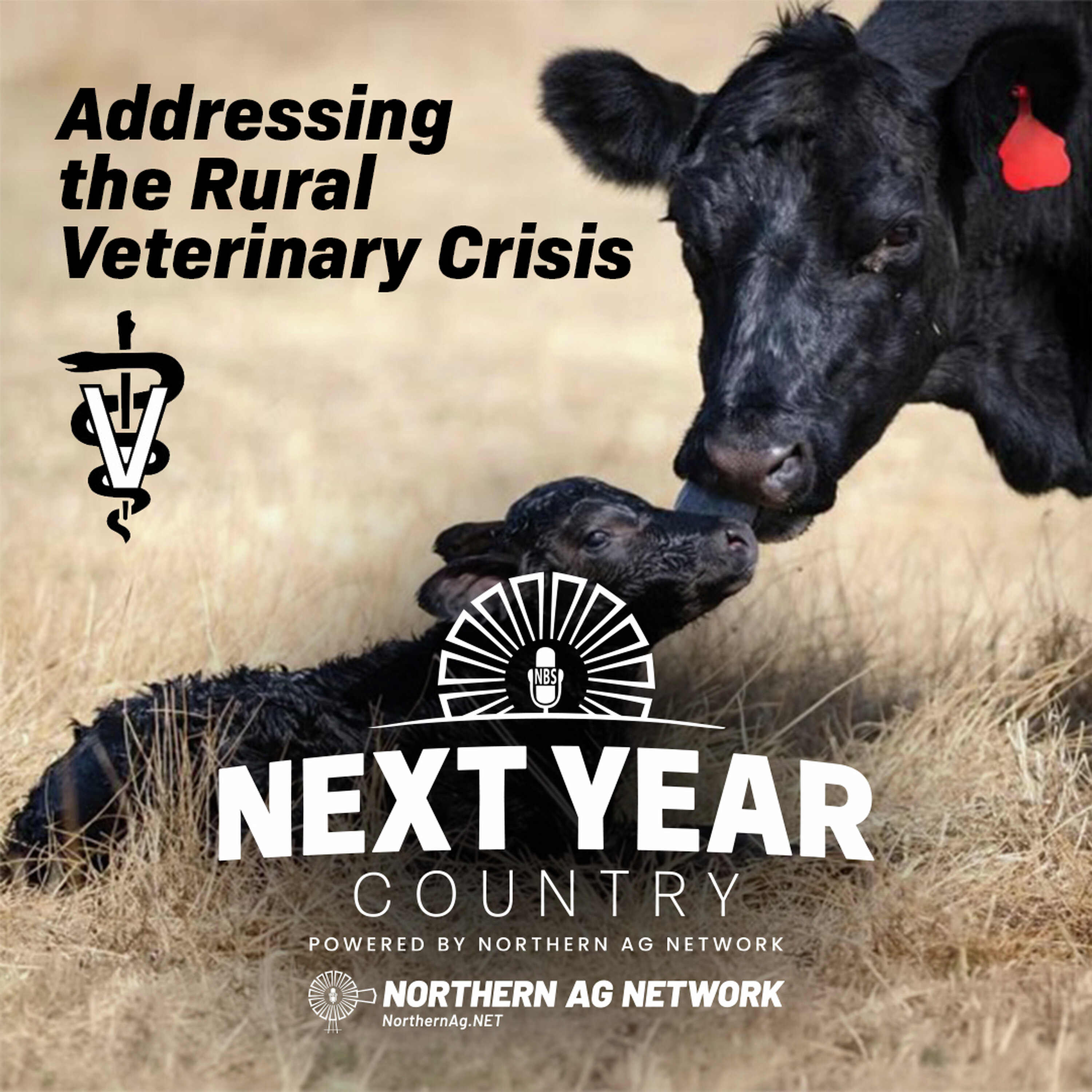 How Do We Address the Critical Shortage of Rural Veterinarians? episode artwork