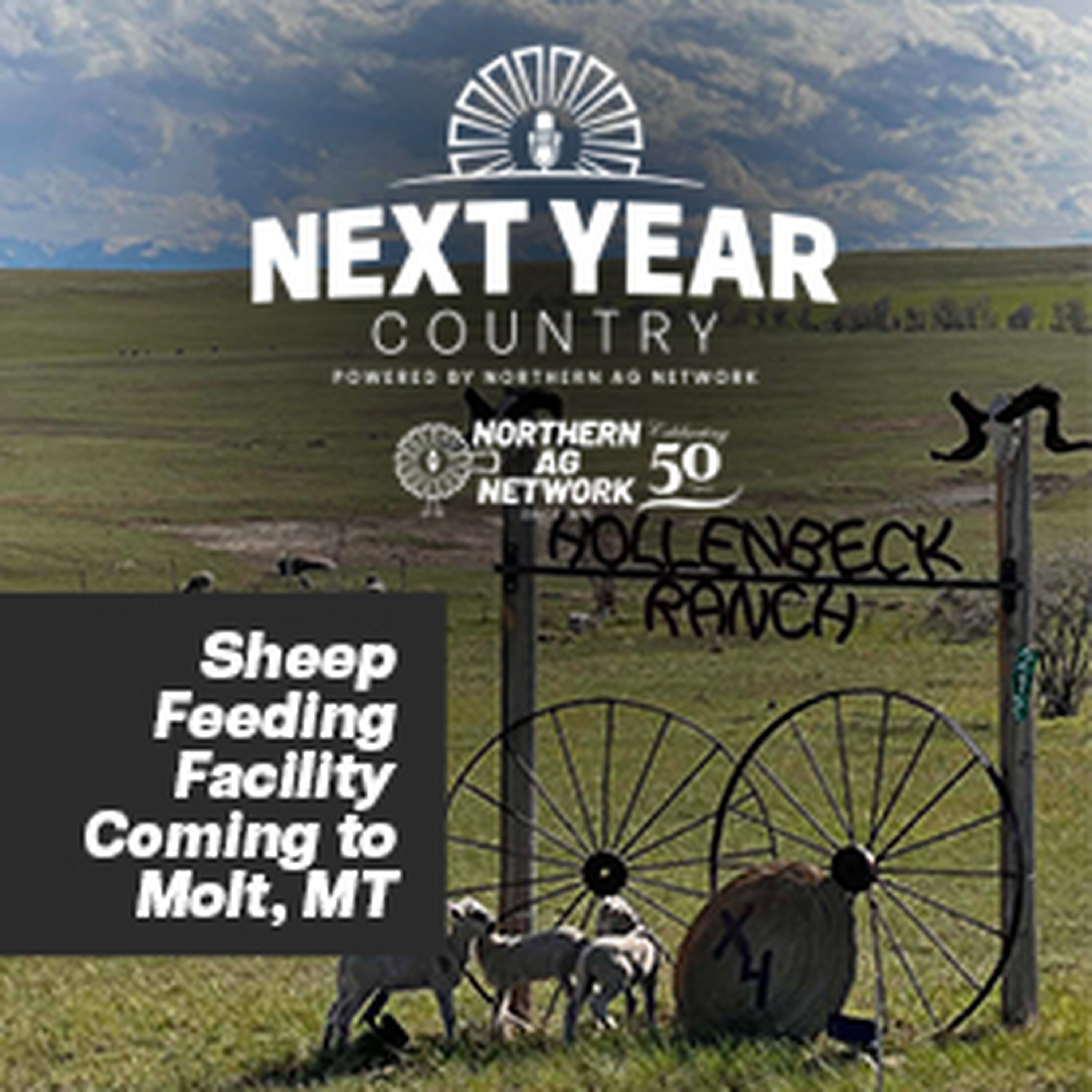 Sheep Feeding Facility Coming to Molt, Montana episode artwork