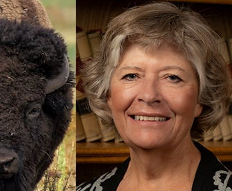 The Case Against the BLM and American Prairie